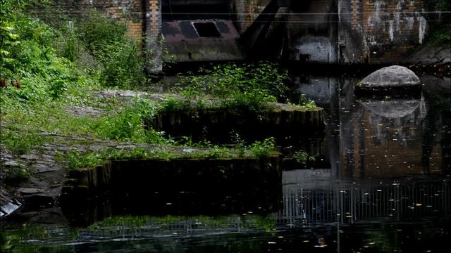 Late Summer Impressions from Western Ditch in Citadel Park in Berlin Spandau of August 23, 2016, Germany