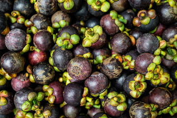 purple mangosteen