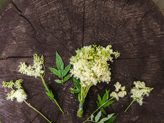 Bundle of Meadowsweet also referred to as queen of the meadow, pride of the meadow, meadow-wort, meadow queen, lady of the meadow, dollof, meadsweet, and bridewort flat lay on wood background.