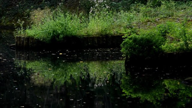 Late Summer Impressions from Western Ditch in Citadel Park in Berlin Spandau of August 23, 2016, Germany