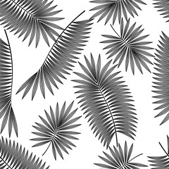 Fototapeta na wymiar Seamless pattern with tropical leaf palm . Vector illustration. EPS 10