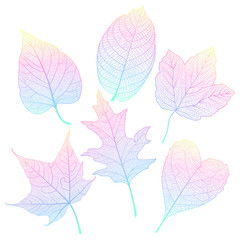 Set colored leaves on white. Vector illustration. EPS 10.