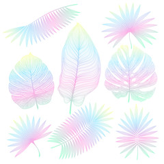 Fototapeta na wymiar Set tropical leaf isolated. Vector illustration. EPS 10