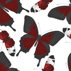 Beautiful seamless pattern with  butterflies. Vector illustration, EPS 10 © O.Yu