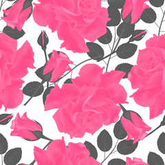 Beautiful seamless pattern with Rose. Vector illustration. EPS 10
