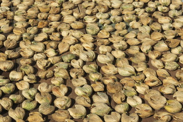 Greece the island of Lipsi. A late summers day.  Figs from local trees drying in the sun, to provide food and nutrition for the coming winter months.