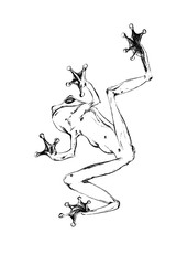 ink tree frog lineart