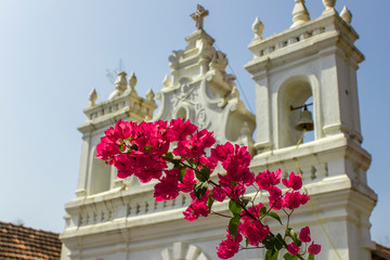 bright fresh green leaves and pink tropical flowers on a branch against a blurred background of a white Catholic church under a clear blue sky