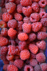 red raspberry berry in the garden market