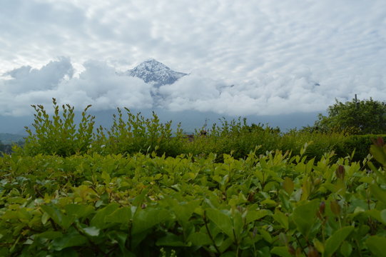 panorama