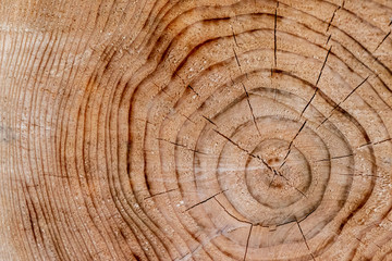 Naklejka premium 材木