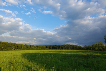 Fototapeta premium Beautiful landscape. Green field and cloudy sky. Central Russia. Moscow region