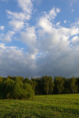 Fototapeta na wymiar Beautiful landscape. Green field and cloudy sky. Central Russia. Moscow region