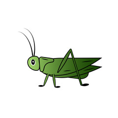 Green grasshopper vector icon on white background