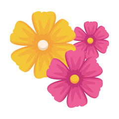 flower icon cartoon isolated