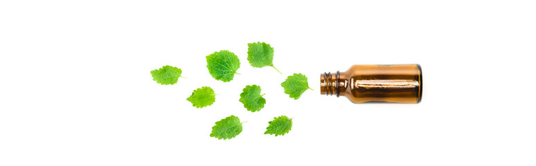panoramic shot of green fresh leaves near bottle isolated on white