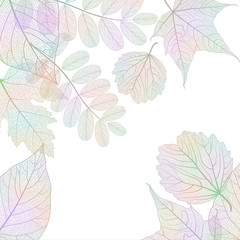 Beautiful background with  leaves.Vector illustration