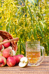 Just picked apples in a wicker basket and apple cider in glass goblet