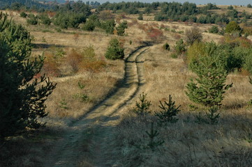 Fototapeta na wymiar Landscape at Plana and Vitosha mountain region in Bulgaria