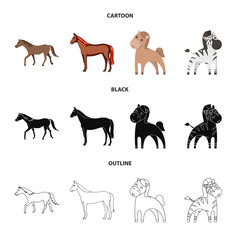 Vector design of trot and running symbol. Set of trot and clipart stock symbol for web.