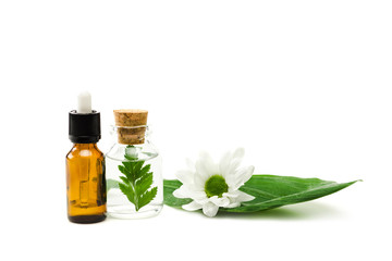 bottles with liquid near flower and leaves isolated on white