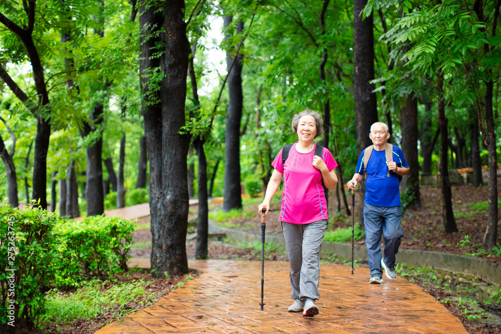 Wall mural asian senior couple hiking on the forest park