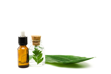 bottles with liquid near green fresh leaf isolated on white