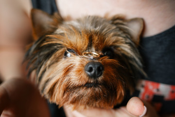 engagement ring in the hands of the bride	