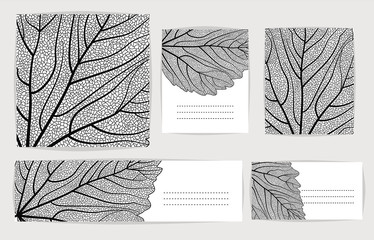 Set backgrounds with black leaves. Vector illustration