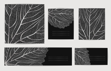 Set backgrounds with silver leaves. Vector illustration