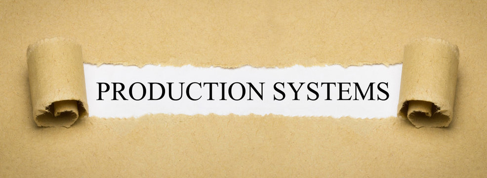 Production Systems