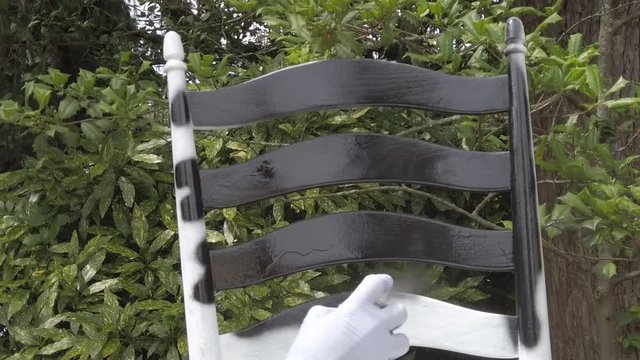 Hand wearing rubber glove is seen spray painting black paint on the wooden back of a chair that has been primed with white primer. Green leaves are in the background