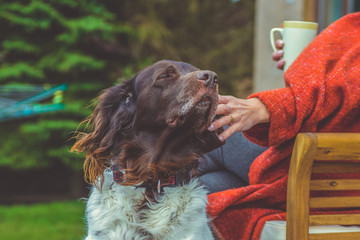 The setter dog sitting next to his owner on the outdoor