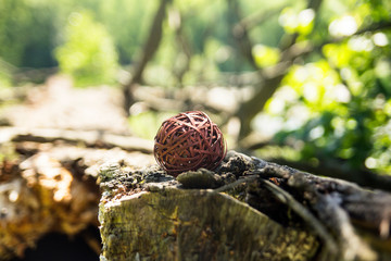 Ball of wood. With lime fruit. With place for calligraphy.