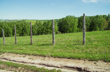 Fototapeta na wymiar a wooden pillar stood in line. fence of wood. on a pasture in a nice sunny day