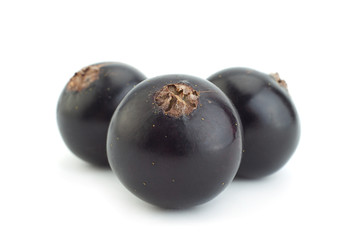 Black currant berries closeup