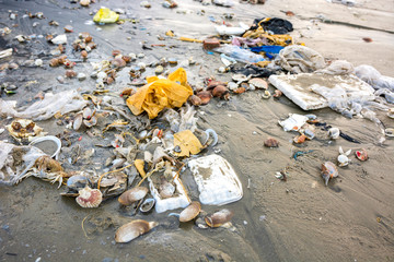 polluted beach, plastic trash, garbage on the beach,  vietnam