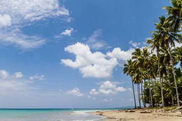 Karibischer Strand 