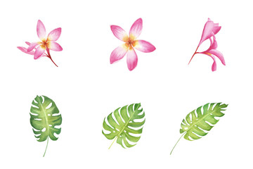 hand painted watercolor set of tropical hibiscus flowers and monstera leaves isolated on white background. elements for design, greeting card, invitation