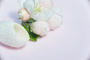 silkworm cocoon close-up for beauty treatments and flowers. space for text.