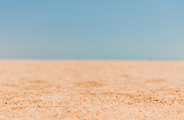Fototapeta na wymiar sunny sand beach with horizon line background