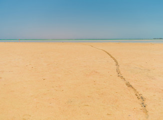 leading line from footprints on sandy beach to the sea on horizon