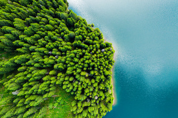 Aerial view of a forest lake. Aerial view of blue lake and green forests on a sunny summer day....