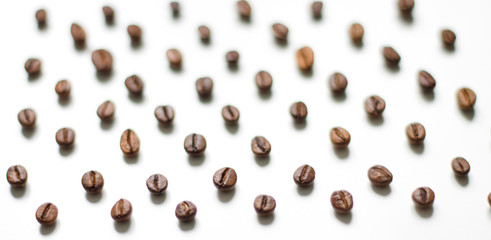 different varieties of coffee brown beans on a white isolated blurred background laid out in a staggered manner