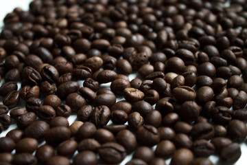 coffee beans brown on white isolated background with close-up location with blurred background