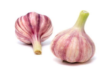 Garlic isolated on white background