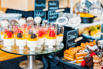 Breakfast Buffet Concept, Breakfast Time in Luxury Hotel, Brunch with Family in Restaurant, Panna Cotta - Image