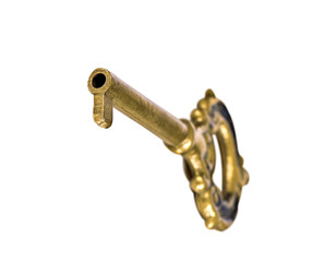 Golden key flies on an isolated white background