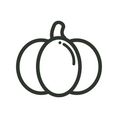 cartoon pumpkin vector image outline