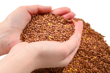 Lentils on a white background in woman hands.